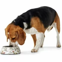 HUNTER Futternapf, Edelstahl, Weiß/mehrfarbig -Günstiges Tierbedarf Geschäft unnamed file 3772