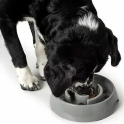 HUNTER Futternapf, Melaminbeschichtet, Grau -Günstiges Tierbedarf Geschäft unnamed file 3807