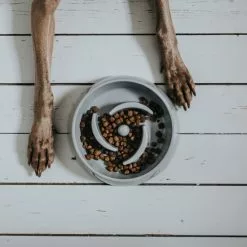 HUNTER Futternapf, Melaminbeschichtet, Grau -Günstiges Tierbedarf Geschäft unnamed file 3809