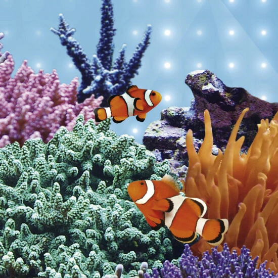 JUWEL AQUARIUM Leuchtmittel »LED BLUE«, LxØ: 74,2 X 1,6 Cm, 19 W, Blau 5 JUWEL AQUARIUM Leuchtmittel »LED BLUE«, LxØ: 74,2 X 1,6 Cm, 19 W, Blau – Bild 3