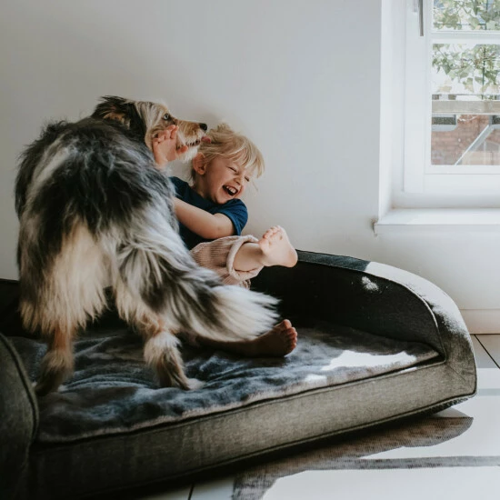 HUNTER Hunde-Sofa, BxHxL: 60 X 30 X 80 Cm, Anthrazit 10 HUNTER Hunde-Sofa, BxHxL: 60 X 30 X 80 Cm, Anthrazit – Bild 8