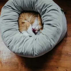 HUNTER Hunde- Und Katzenschlafplatz, BxHxL: 50 X 35 X 50 Cm, Grau -Günstiges Tierbedarf Geschäft unnamed file 3851