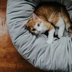 HUNTER Hunde- Und Katzenschlafplatz, BxHxL: 50 X 35 X 50 Cm, Grau -Günstiges Tierbedarf Geschäft unnamed file 3852