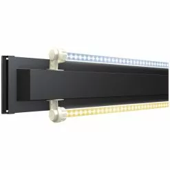 JUWEL AQUARIUM Leuchtmittel »MultiLux LED«, BxH: 21 X 8,5 Cm, 24 W, Mehrfarbig -Günstiges Tierbedarf Geschäft unnamed file 3867
