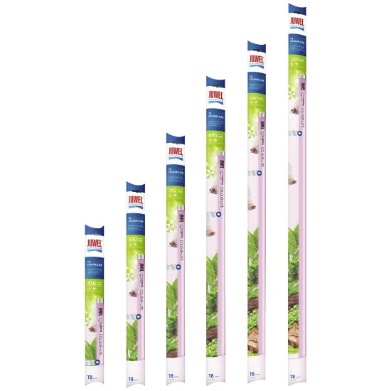 JUWEL AQUARIUM Leuchtmittel »Colour-Lite T8«, 30 W, Rot 4 JUWEL AQUARIUM Leuchtmittel »Colour-Lite T8«, 30 W, Rot – Bild 2