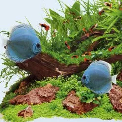 JUWEL AQUARIUM Leuchtmittel »HiLite T5 Day«, 28 W, Weiß -Günstiges Tierbedarf Geschäft unnamed file 3878