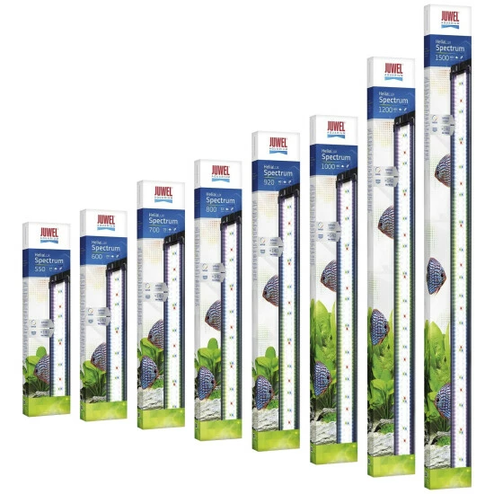 JUWEL AQUARIUM Leuchtmittel »HeliaLux Spectrum«, 40 W, Rot|gruen|blau 4 JUWEL AQUARIUM Leuchtmittel »HeliaLux Spectrum«, 40 W, Rot|gruen|blau – Bild 2