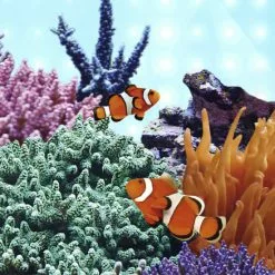 JUWEL AQUARIUM Leuchtmittel »LED Marine«, LxØ: 43,8 X 1,6 Cm, 12 W, Weiß 9 JUWEL AQUARIUM Leuchtmittel »LED Marine«, LxØ: 43,8 X 1,6 Cm, 12 W, Weiß -Günstiges Tierbedarf Geschäft unnamed file 3894