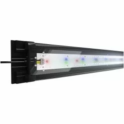 JUWEL AQUARIUM Leuchtmittel »HeliaLux Spectrum«, 48 W, Rot|gruen|blau
