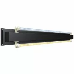 JUWEL AQUARIUM Leuchtmittel »MultiLux LED«, BxH: 21 X 8,5 Cm, 34 W, Mehrfarbig -Günstiges Tierbedarf Geschäft unnamed file 3908