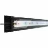 JUWEL AQUARIUM Leuchtmittel »HeliaLux Spectrum«, 29 W, Rot|gruen|blau 2 JUWEL AQUARIUM Leuchtmittel »HeliaLux Spectrum«, 29 W, Rot|gruen|blau -Günstiges Tierbedarf Geschäft unnamed file 3924
