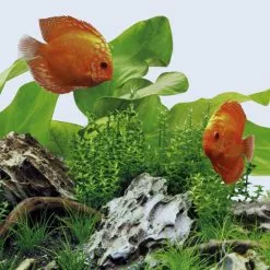 JUWEL AQUARIUM Leuchtmittel »LED DAY«, 29 W, Weiß 9 JUWEL AQUARIUM Leuchtmittel »LED DAY«, 29 W, Weiß -Günstiges Tierbedarf Geschäft unnamed file 3972