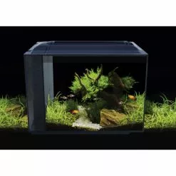 FLUVAL Aquarien-Set »SPEC«, Breite: 56 Cm, Kunststoff, Schwarz 23 FLUVAL Aquarien-Set »SPEC«, Breite: 56 Cm, Kunststoff, Schwarz -Günstiges Tierbedarf Geschäft unnamed file 4086