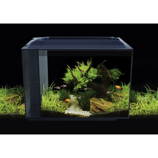 FLUVAL Aquarien-Set »SPEC«, Breite: 56 Cm, Kunststoff, Schwarz 11 FLUVAL Aquarien-Set »SPEC«, Breite: 56 Cm, Kunststoff, Schwarz – Bild 9