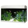 Aquarien-Set »Marina Complete«, Breite: 60 Cm, Kunststoff, Weiß -Günstiges Tierbedarf Geschäft unnamed file 4100