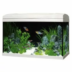 Aquarien-Set »Marina Complete«, Breite: 60 Cm, Kunststoff, Weiß