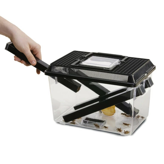 EXO TERRA Behälter »Cricket Pen«, BxHxL: 19,5 X 21 X 30 Cm, Kunststoff 5 EXO TERRA Behälter »Cricket Pen«, BxHxL: 19,5 X 21 X 30 Cm, Kunststoff – Bild 3