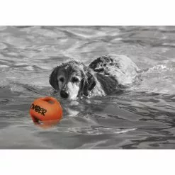 ZEUS Spielzeug »Bomber«, Mehrfarbig, Für Hunde -Günstiges Tierbedarf Geschäft unnamed file 4164