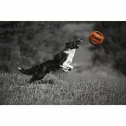 ZEUS Spielzeug »Bomber«, Mehrfarbig, Für Hunde -Günstiges Tierbedarf Geschäft unnamed file 4165