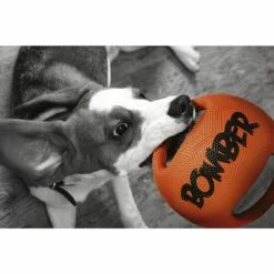 ZEUS Spielzeug »Bomber«, Mehrfarbig, Für Hunde -Günstiges Tierbedarf Geschäft unnamed file 4166