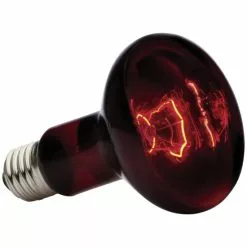 EXO TERRA Infrarot-Heizlampe, 100W, Geeignet Für: Terrarien