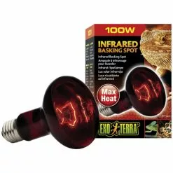 EXO TERRA Infrarot-Heizlampe, 100W, Geeignet Für: Terrarien -Günstiges Tierbedarf Geschäft unnamed file 4188