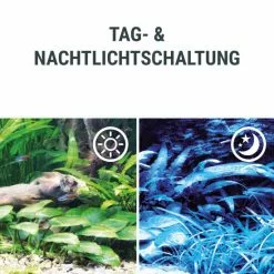 TETRA Leuchtmittel »Tetronic LED ProLine«, 13 W, Mehrfarbig -Günstiges Tierbedarf Geschäft unnamed file 4233