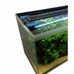 FLUVAL Aquarienbeleuchtung »AquaSky LED«, BxH: 9,5 X 2,5 Cm, 16 W, Mehrfarbig -Günstiges Tierbedarf Geschäft unnamed file 4239