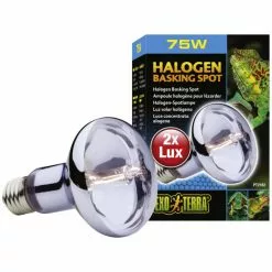 EXO TERRA Terrarienbeleuchtung »Sun Glo«, BxH: 7,5 X 11 Cm, 75 W, Weiß