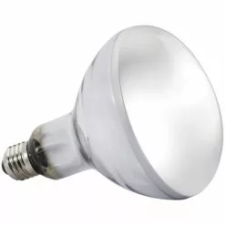 EXO TERRA Terrarienbeleuchtung »Solar Glo«, BxH: 11,5 X 16 Cm, 160 W, Weiß