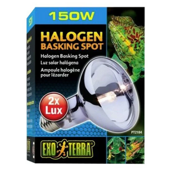 EXO TERRA Terrarienbeleuchtung »Sun Glo«, BxH: 9,5 X 13,7 Cm, 150 W, Weiß 3 EXO TERRA Terrarienbeleuchtung »Sun Glo«, BxH: 9,5 X 13,7 Cm, 150 W, Weiß