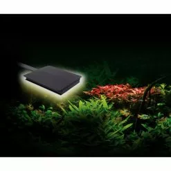 FLUVAL Aquarienbeleuchtung »NANO Plant LED«, BxH: 13 X 2,2 Cm, 15 W, Mehrfarbig -Günstiges Tierbedarf Geschäft unnamed file 4308