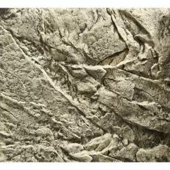 Rückwand, Beige -Günstiges Tierbedarf Geschäft unnamed file 432