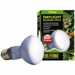 EXO TERRA Terrarienbeleuchtung »Day Glo«, BxH: 6 X 9,6 Cm, 75 W, Weiß -Günstiges Tierbedarf Geschäft unnamed file 4328