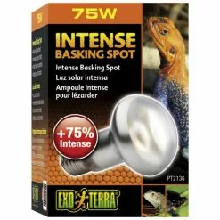 EXO TERRA Terrarienbeleuchtung »Day Glo«, BxH: 6 X 10 Cm, 75 W, Weiß -Günstiges Tierbedarf Geschäft unnamed file 4332