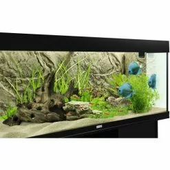 Rückwand, Beige -Günstiges Tierbedarf Geschäft unnamed file 434