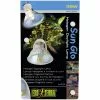 EXO TERRA Terrarienbeleuchtung »Sun Glo«, BxH: 5,1 X 5,6 Cm, 35 W, Weiß 1 EXO TERRA Terrarienbeleuchtung »Sun Glo«, BxH: 5,1 X 5,6 Cm, 35 W, Weiß -Günstiges Tierbedarf Geschäft unnamed file 4359