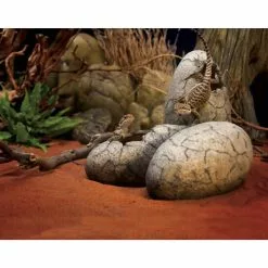 EXO TERRA Dekofigur »Dinosaur World«, EX Ornament Dinosauriereier, Harz, Grau -Günstiges Tierbedarf Geschäft unnamed file 4460