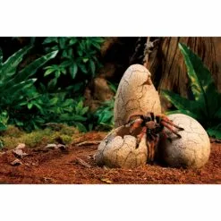 EXO TERRA Dekofigur »Dinosaur World«, EX Ornament Dinosauriereier, Harz, Grau -Günstiges Tierbedarf Geschäft unnamed file 4461