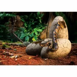 EXO TERRA Dekofigur »Dinosaur World«, EX Ornament Dinosauriereier, Harz, Grau -Günstiges Tierbedarf Geschäft unnamed file 4462