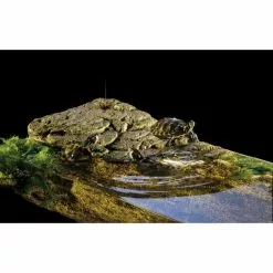 EXO TERRA Dekofigur »Turtle Bank«, EX Turtle Bank Groß, Kunststoff, Braun -Günstiges Tierbedarf Geschäft unnamed file 4469