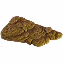 EXO TERRA Dekofigur »Turtle Bank«, EX Turtle Bank Klein, Kunststoff, Braun 11 EXO TERRA Dekofigur »Turtle Bank«, EX Turtle Bank Klein, Kunststoff, Braun -Günstiges Tierbedarf Geschäft unnamed file 4485