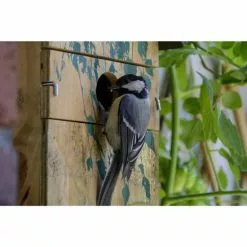 DOBAR Nistkasten, Für Wildvögel, Kiefernholz, Natur/grün -Günstiges Tierbedarf Geschäft unnamed file 4760