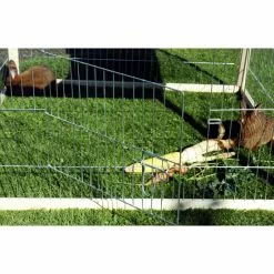 Freilaufgehege, BxHxT: 100 X 58,5 X 100 Cm, Grün -Günstiges Tierbedarf Geschäft unnamed file 4838