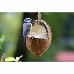 DOBAR Vogelfutter, Verschiedene Ausführungen -Günstiges Tierbedarf Geschäft unnamed file 4852