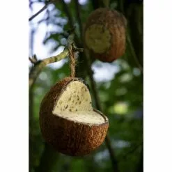 DOBAR Vogelfutter, Verschiedene Ausführungen -Günstiges Tierbedarf Geschäft unnamed file 4855