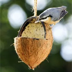 DOBAR Vogelfutter, Verschiedene Ausführungen -Günstiges Tierbedarf Geschäft unnamed file 4856