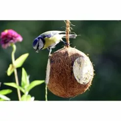 DOBAR Vogelfutter, Verschiedene Ausführungen -Günstiges Tierbedarf Geschäft unnamed file 4858