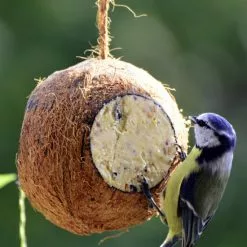 DOBAR Vogelfutter, Verschiedene Ausführungen -Günstiges Tierbedarf Geschäft unnamed file 4860