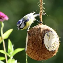 DOBAR Vogelfutter, Verschiedene Ausführungen -Günstiges Tierbedarf Geschäft unnamed file 4862